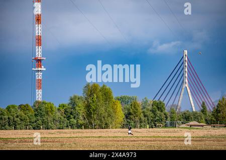 Niederrheinbrücke Wesel, ponte, B58, ponte strallato, trasmettitore Wesel, albero a reticolo in acciaio dissanguato alto 320 metri a Wesel-Büderich, ere Foto Stock