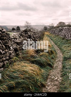 La campagna intorno a Malham Dale nello Yorkshire Dales. Foto Stock