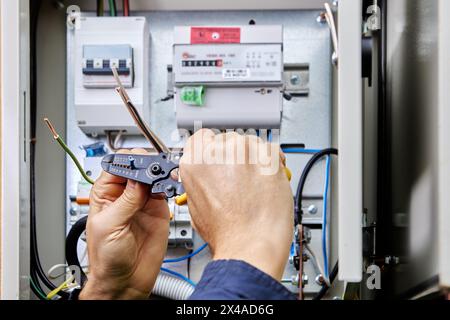 Collegamento del cavo di alimentazione trifase a quattro conduttori all'alimentazione in una scatola elettrica esterna, spelando le estremità dei fili di isolamento. Foto Stock