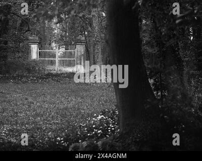 Antica porta metallica in una foresta scura in bianco e nero, Parco di Laxenburg, Austria, con ombre profonde, alberi e un'atmosfera cupa Foto Stock