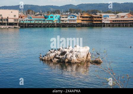 Tranquillo panorama sul lungomare con edifici colorati sul molo della città costiera, sereno e pittoresco. Foto Stock