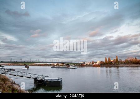 Immagine di un panorama dello skyline di Bonn con una particolare attenzione al fiume Reno e al ponte Kennedy Kennedybrucke. La città federale di Bonn è una città sul Foto Stock