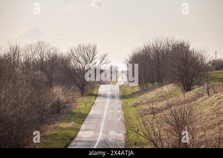 Una strada serpeggiante attraversa il cuore della tranquilla campagna della Vojvodina, rappresentando una quintessenza dell'esperienza rurale della Serbia. Con un albero arido Foto Stock