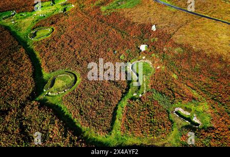 Circoli di Holyhead Mountain Hut. Preistorica neolitica attraverso l'insediamento in pietra dell'età del ferro celtica. Anglesey, Galles. Bracken autunnale rosso Foto Stock