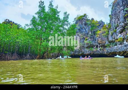 Gita in kayak tra mangrovie e rocce, Ko Thalu OK Island, Phang Nga Bay, Thailandia Foto Stock