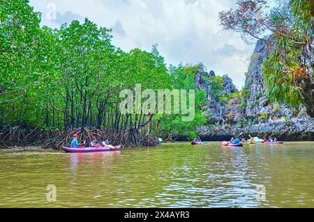 Goditi la costa dell'isola di Koh Thalu OK con lussureggianti mangrovie verdi, scogliere ripide, stretti canali e kayak turistici, Phang Nga Bay, Thailandia Foto Stock