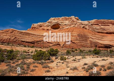 Moab, Utah, Stati Uniti. 2 maggio 2024. Gli spettacolari paesaggi desertici offrono brillanti colori primaverili lungo il fiume Colorado vicino a Moab, Utah. Crediti: csm/Alamy Live News Foto Stock