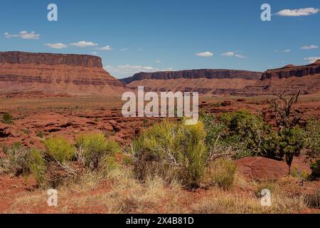 Moab, Utah, Stati Uniti. 2 maggio 2024. I ricchi colori naturali completano i rossi profondi del Castle Velley all'interno di spettacolari paesaggi desertici e canyon vicino a Moab, Utah. Crediti: csm/Alamy Live News Foto Stock