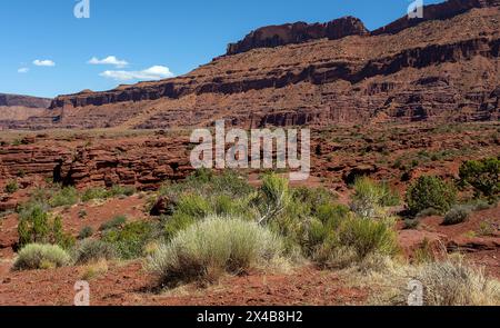 Moab, Utah, Stati Uniti. 2 maggio 2024. I ricchi colori naturali completano i rossi profondi del Castle Velley all'interno di spettacolari paesaggi desertici e canyon vicino a Moab, Utah. Crediti: csm/Alamy Live News Foto Stock