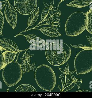 Rami di limone con frutta e fiori disegnati in stile rétro. Illustrazione vettoriale. Illustrazione Vettoriale
