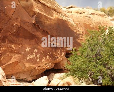 Incisioni rupestri lungo il delicate Arch Trail nell'Arches National Park, Utah Foto Stock