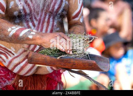 Fuoco rituale con ramo verde, fumo e fuoco, il rito rituale del fumo in un evento della comunità indigena in Australia Foto Stock