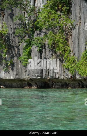 Splendida vista quando si esplorano le vicine isole di Coron, Palawan, Filippine Foto Stock