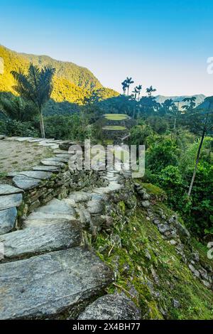 Antiche rovine nascoste della civiltà Tayrona, Ciudad Perdida, nel cuore della giungla colombiana, città perduta di Teyuna. Santa Marta, Sierra Nevada Mount Foto Stock