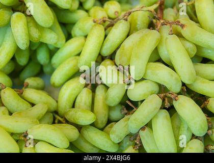 Uva verde senza semi, nota anche come strega o zucchero di cotone Foto Stock