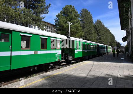 Treno Sila, treno turistico, stazione ferroviaria Camigliatello Silano, Calabria, Italia Foto Stock