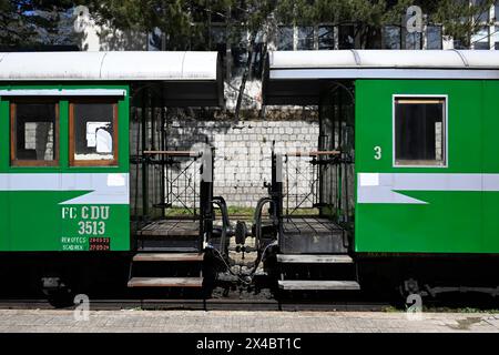 Treno Sila, treno turistico, stazione ferroviaria Camigliatello Silano, Calabria, Italia Foto Stock