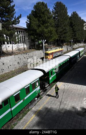 Treno Sila, treno turistico, stazione ferroviaria Camigliatello Silano, Calabria, Italia Foto Stock