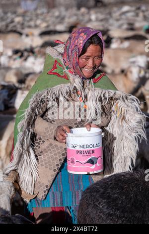 Ritratto di una donna nomade Changpa, Ladakh, India Foto Stock