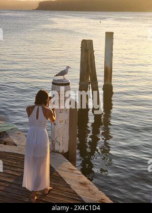 Donna vestita tutta di bianco che scatta una foto, su un molo, su un molo, di un gabbiano arroccato su un tronco di legno, di fronte a un mare calmo e blu scuro, in un passo avanti Foto Stock