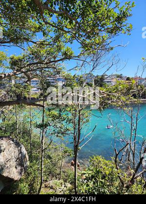 Vista del mare da Shelly Beach, a Sydney, in Australia, in una giornata di sole, con una vista tra gli alberi che formano una cornice, e il mare blu, le rocce e ho Foto Stock