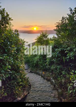 Vista del mare tra piante e alberi, palme, con una scalinata, sulla collina di Palm Beach, a Sydney, Australia, sotto l'incredibile luce del tramonto. Foto Stock