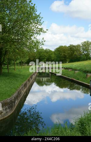 Un ruscello e betulle vicino a un lago di Fimon a Vicenza in una giornata nuvolosa. Splendido scenario naturale e tranquillo. Foto Stock