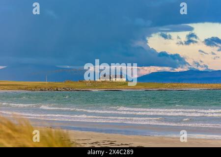 Gott Bay, Isola di Tiree, Ebridi interne, Scozia, marzo 28 2024. Un grande gregge di oche Barnacle sorvola un cottage dipinto di bianco sulla splendida isl Foto Stock