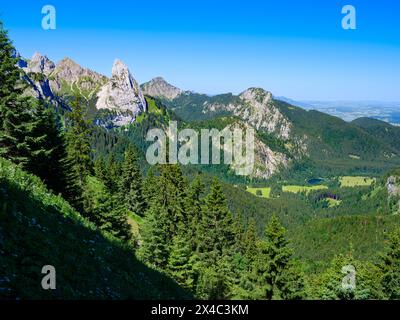 Vista verso il monte Geiselstein e le zone umide di Kenzenmoos. Parco naturale delle Alpi Ammergau (Ammergau Alpen) nelle Alpi calcaree settentrionali dell'alta Baviera, Germania. Foto Stock