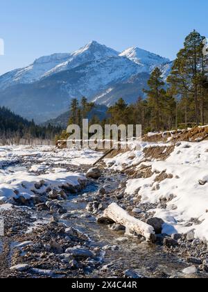 Vista verso il monte Daniel. La piana alluvionale di ghiaia protetta Friedergries nelle Alpi Ammergau (Ammergau Alpen) nelle Alpi calcaree settentrionali dell'alta Baviera, Germania. Foto Stock