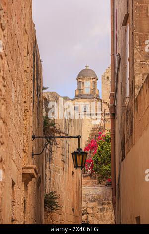 Mdina, Malta. Città vecchia cinta da mura, strette mura di pietra calcarea, cupola della chiesa, bouganville e palo della lampada. Foto Stock