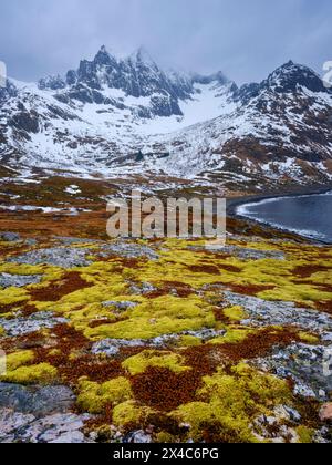 Paesaggio vicino a Mefjordvaer. L'isola di Senja durante l'inverno nel nord della Norvegia. Foto Stock