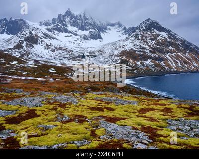 Paesaggio vicino a Mefjordvaer. L'isola di Senja durante l'inverno nel nord della Norvegia. Foto Stock
