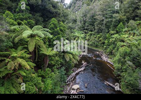 Una vista del fiume Tangarakau da un ponte sulla Forgotten World Highway, North Island, Nuova Zelanda Foto Stock