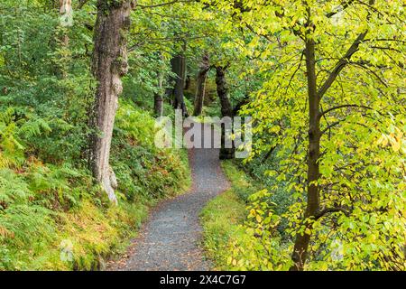 Inghilterra, Yorkshire Dales. Barden, Skipton. Walk offre uno scorcio del paesaggio locale. Foto Stock