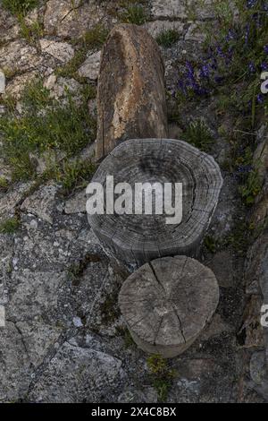 Alcuni tronchi di legno usati come posti a sedere nel patio di uno chalet Foto Stock