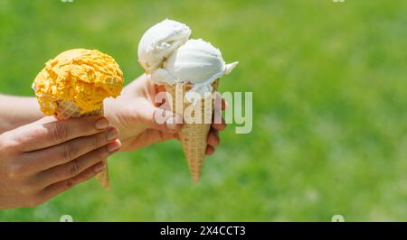 Le mani delle donne tengono un gelato rinfrescante in coni di waffle con un pizzico di saporito sapore di limone. Con spazio di copia Foto Stock