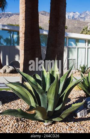 Close-up di mailbox Foto Stock