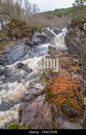 Il fiume Black Water a Rogie Falls Foto Stock