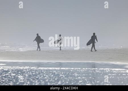 La nebbia del mattino presto sorge sulla spiaggia dei surfisti di New Smyrna Beach Foto Stock