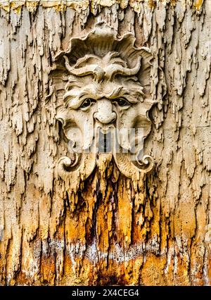 Old Mask Fountain, storico municipio, Coral Gables, Florida. Costruito nel 1928 sui luoghi storici del National Registry degli Stati Uniti Foto Stock