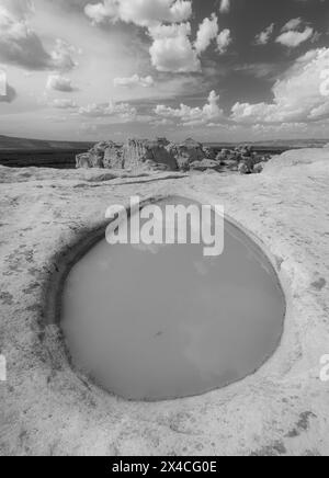 Depressioni rocciose piene di tadpole durante la stagione dei monsoni, El Malpais National Monument at the Bluffs, New Mexico Foto Stock