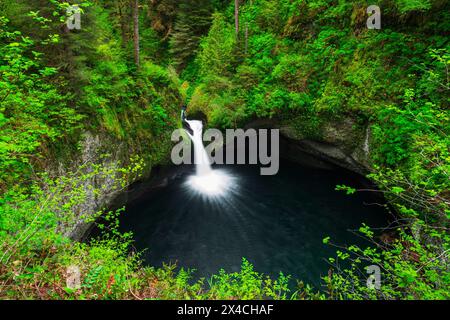 Cascate di punch Bowl su Eagle Creek, Columbia River Gorge National Scenic area, Oregon, Stati Uniti Foto Stock