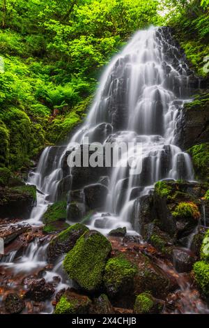 Le Fairy Falls, Columbia River Gorge National Scenic Area, Oregon, Stati Uniti d'America Foto Stock