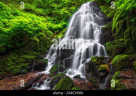 Le Fairy Falls, Columbia River Gorge National Scenic Area, Oregon, Stati Uniti d'America Foto Stock