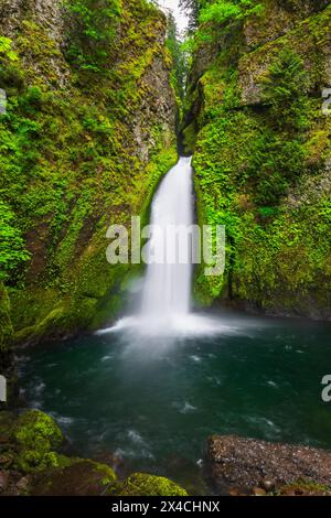 Wahclella Falls, Columbia River Gorge National Scenic Area, Oregon, Stati Uniti d'America Foto Stock