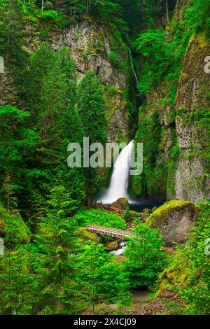 Wahclella Falls, Columbia River Gorge National Scenic Area, Oregon, Stati Uniti d'America Foto Stock