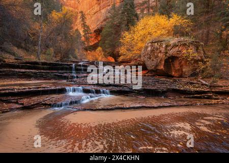 Archangel Falls sulla Fork sinistra di North Creek, Zion National Park Foto Stock