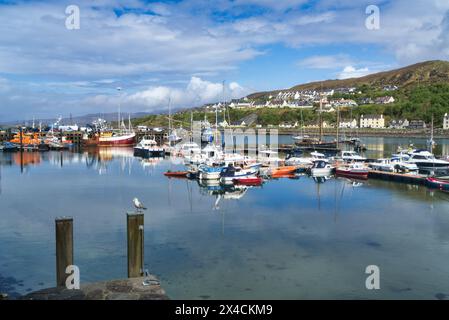 Guardando a nord-ovest verso il porto di Mallaig al molo di Mallaig. Highlands occidentali, Scozia, Regno Unito Foto Stock