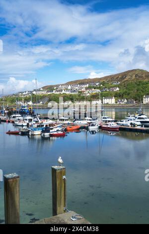 Guardando a nord-ovest verso il porto di Mallaig al molo di Mallaig. Highlands occidentali, Scozia, Regno Unito Foto Stock